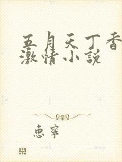 五月天丁香婷婷激情小说