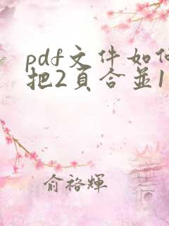 pdf文件如何把2页合并1页