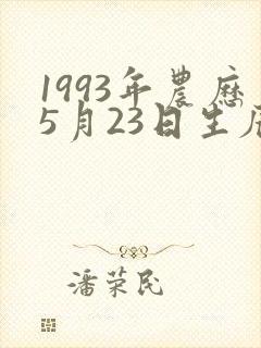 1993年农历5月23日生辰八字