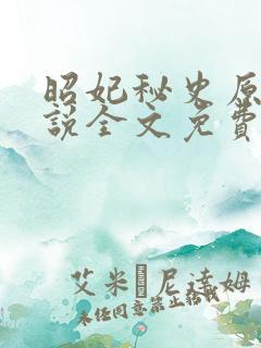 昭妃秘史原著小说全文免费阅读