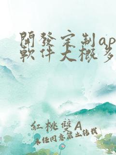 开发定制app软件大概多少钱