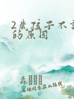2岁孩子不说话的原因