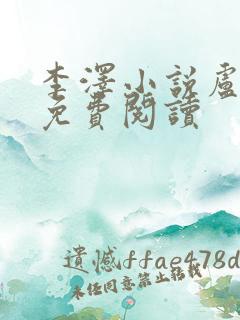 李泽小说卢康伟免费阅读