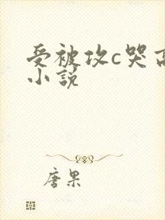 受被攻c哭高h小说