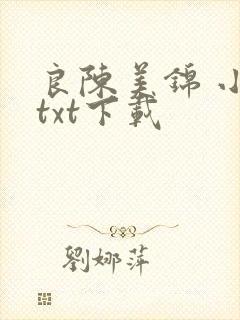 良陈美锦 小说txt下载