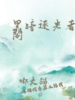 黑暗逐光者笔趣阁