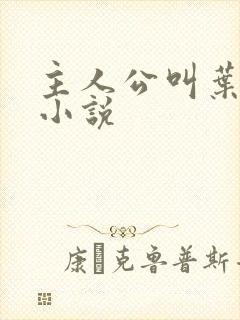 主人公叫叶楚的小说
