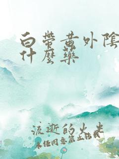 白带黄外阴痒用什么药