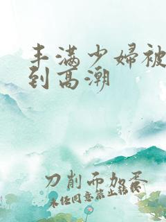 丰满少妇被躁爽到高潮