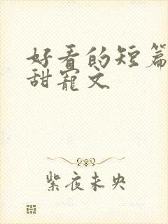 好看的短篇言情甜宠文