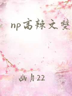 np高辣文双性