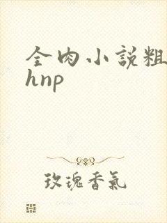 全肉小说粗暴高hnp