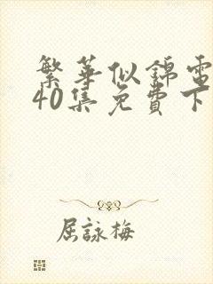 繁华似锦电视剧40集免费下载