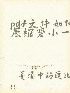 pdf文件如何压缩变小一点