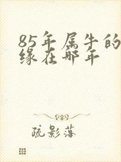 85年属牛的姻缘在哪年