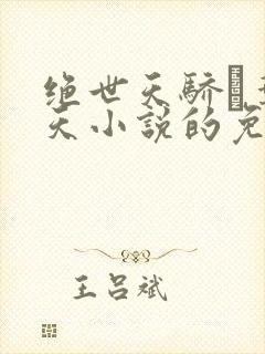 绝世天骄·叶凌天小说的免费阅读