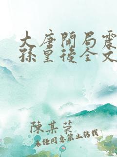 大唐开局震惊长孙皇后全文阅读小说