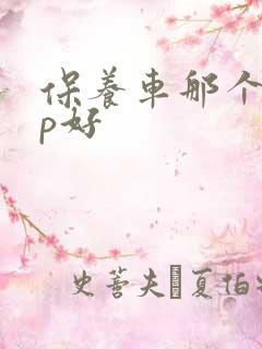保养车那个app好