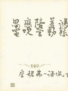 思恋陪着鸿雁飞电吹管动态简谱