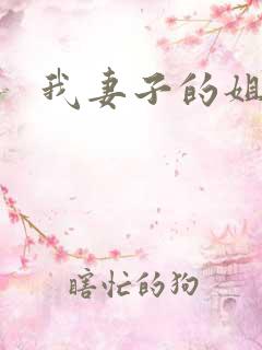 我妻子的姐姐4
