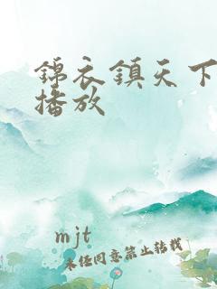 锦衣镇天下全集播放