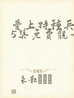 爱上特种兵第25集免费观看