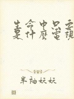生命中只要有你是什么电视剧插曲