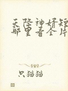 天降神婿短剧从哪里看全片