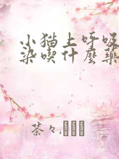 小猫上呼吸道感染吃什么药