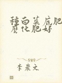 种白菜底肥施什么化肥好