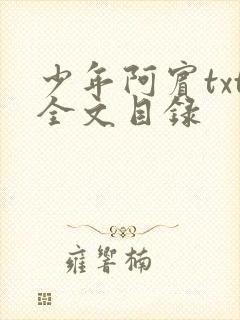 少年阿宾txt全文目录