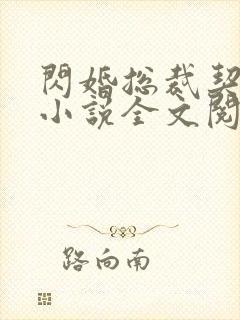 闪婚总裁契约妻小说全文阅读
