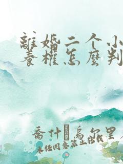 离婚二个小孩抚养权怎么判