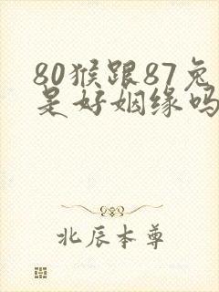 80猴跟87兔是好姻缘吗