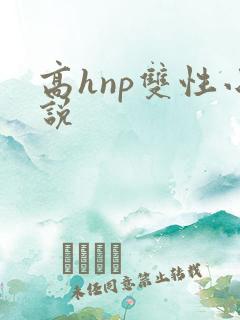 高hnp双性小说