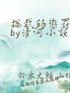 总裁的惩罚日常by清河小说