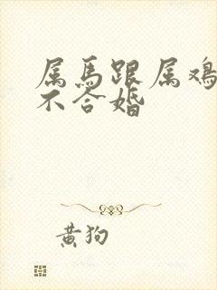 属马跟属鸡的合不合婚