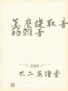 怎么提取音频中的杂音