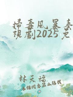扫毒风暴秦昊电视剧2025免费观看