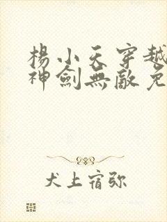杨小天穿越小说神剑无敌免费阅读