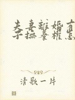 夫妻离婚有俩孩子抚养权怎么判定