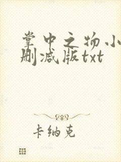 掌中之物小说未删减版txt