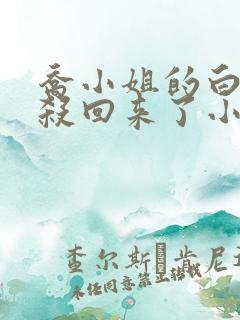 乔小姐的白月光杀回来了小说 免费阅读