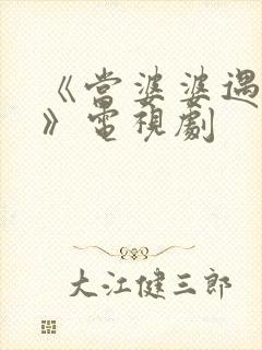 《当婆婆遇上妈》电视剧
