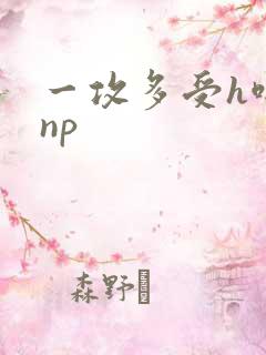 一攻多受h啪肉np