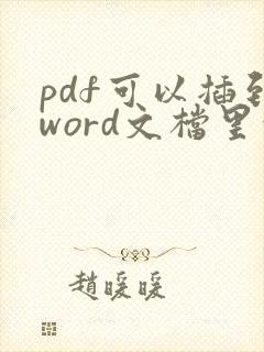 pdf可以插到word文档里吗
