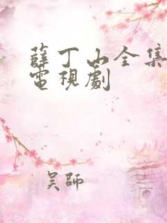 薛丁山全集40电视剧