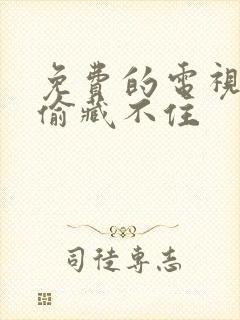 免费的电视剧偷偷藏不住