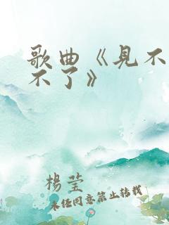 歌曲《见不到忘不了》
