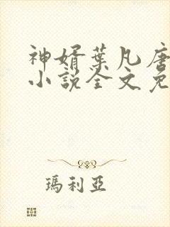 神婿叶凡唐若雪小说全文免费阅读